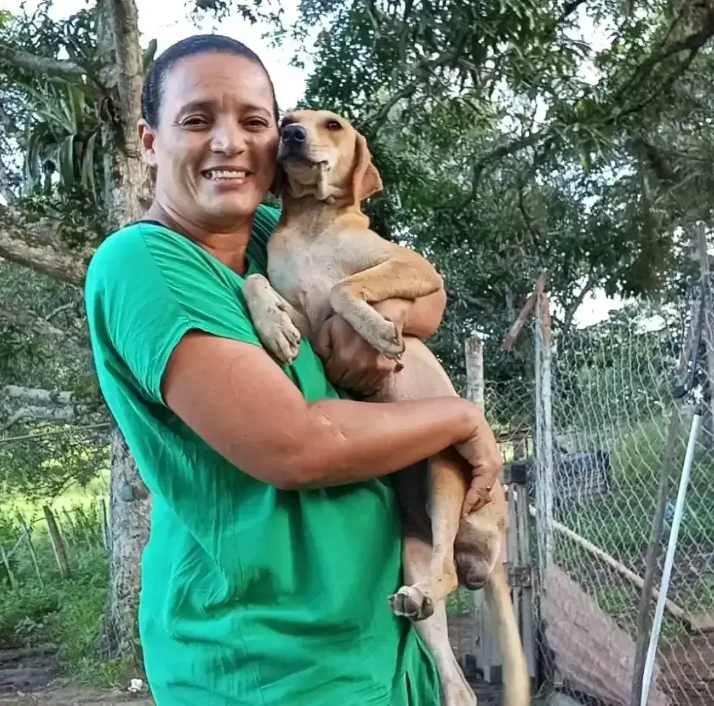 Cães resgatados no Abrigo Salve Cão, em Floresta Azul