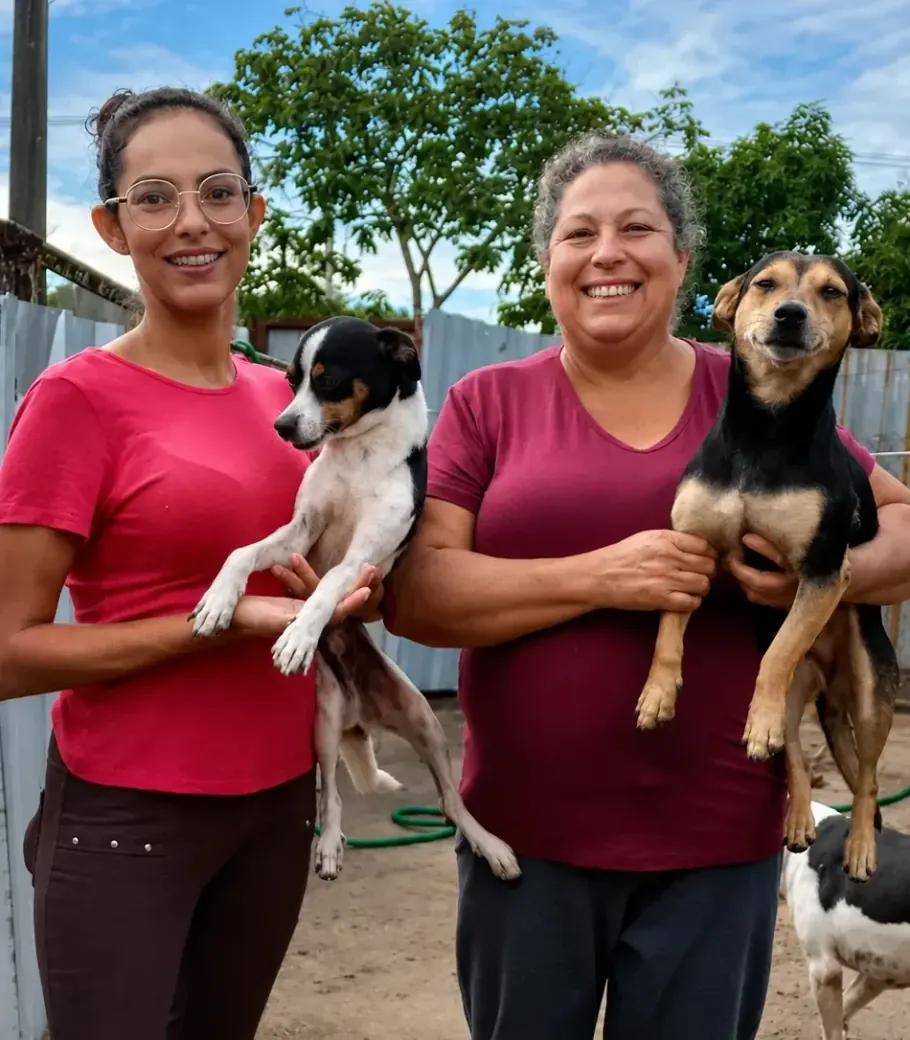 Cães e gatos resgatados na Casa da Mili, em Tambaú