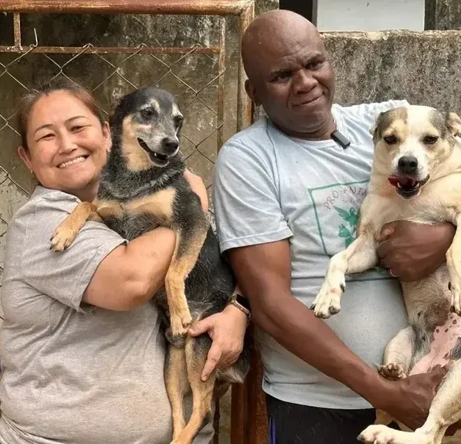 Cães resgatados no abrigo Siulsan Resgate, em Tatuí