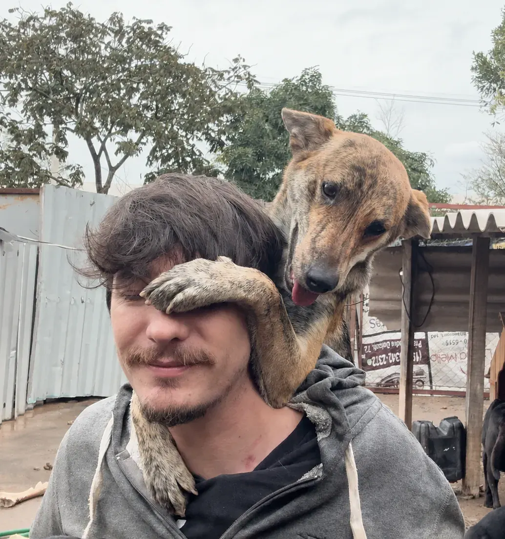 Caio alimentando os animais em um dos abrigos